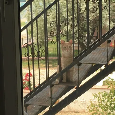 شقة Garden Apart *
